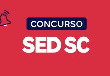 Alfabetização e Letramento: O Desafio dos Anos Iniciais em SC Concurso SED SC 2026