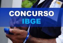 A Lei nº 8.745/1993 e o Regime de Contratação Temporária Concurso IBGE 2026